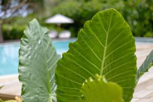 SJR_2BR_Crusoe Residence_V52_details_by Sandro Bruecklmeier_IMG_4607 Kopie