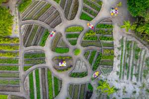 SJR_so wild_DJI_0039_by Sandro Bruecklmeier Kopie 2