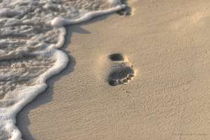 SFR_mingle_by Sandro Bruecklmeier_IMG6089 Kopie 2